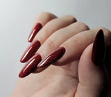 103633 Mey's Choice 2025