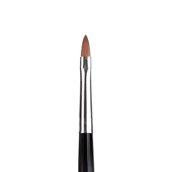 176065 Click on Acrylic Brush 4