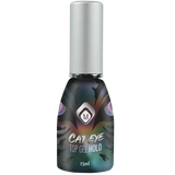 104031 Cat Eye Top Gel Holographic  15ml