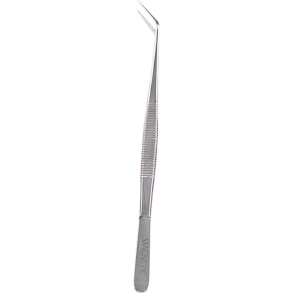 220229 Tweezers